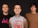  blink