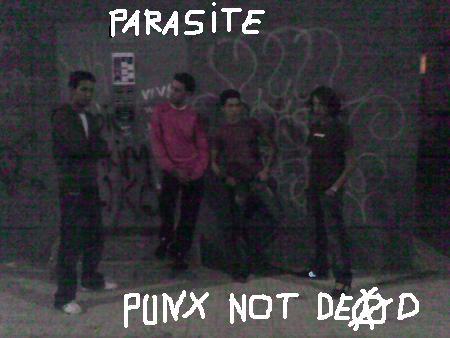 PUNX NEVER DEAD